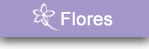 Floricultura Online